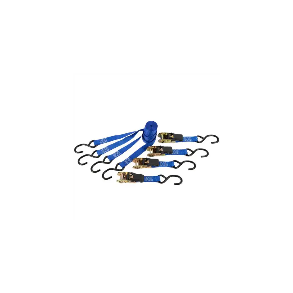 1"x10 '- 1200lb Soft Grip Ratchet Tie Downs - Set of 4 - ERI01415